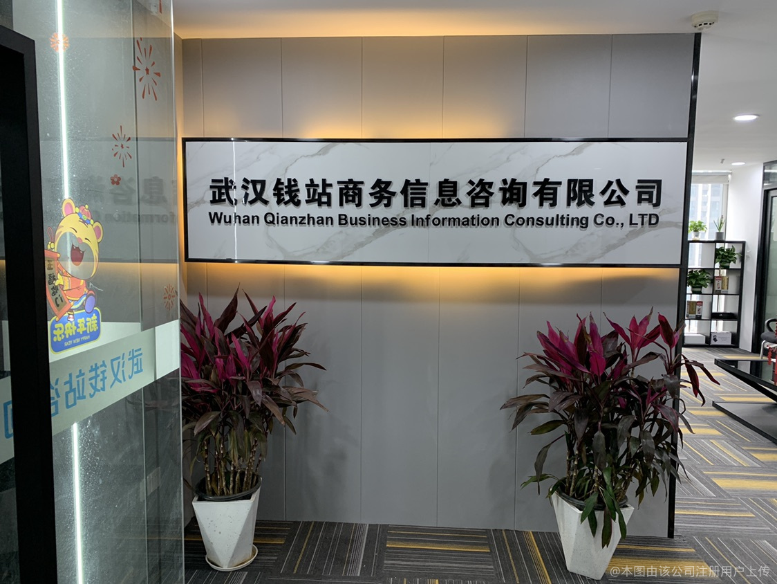 武汉钱站商务信息咨询